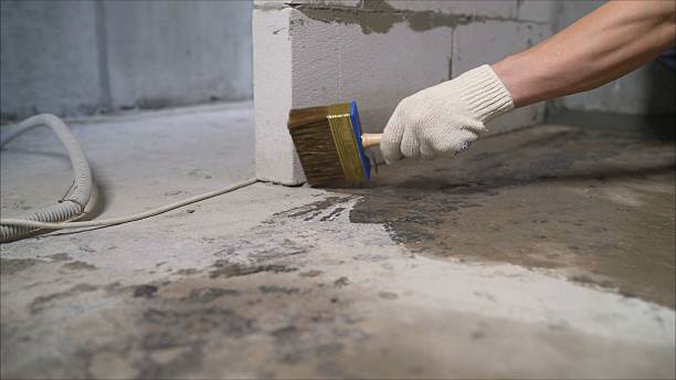 Trusted Waterproofing service in Baileyton, AL - SGP Waterproofing